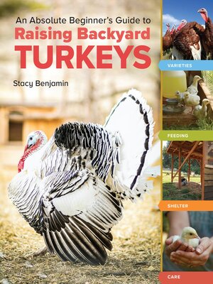 cover image of An Absolute Beginner's Guide to Raising Backyard Turkeys